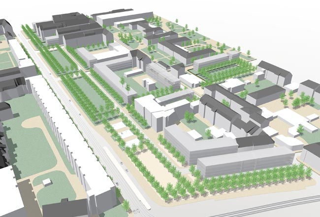Variantendiskussion, Städtebauliches Entwicklungskonzept und Rahmenplan für die Quartiere 13 - 17 in Dresden - Friedrichstadt
